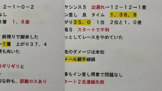 【競馬予想】　ユニコーンステークス　2021 本予想