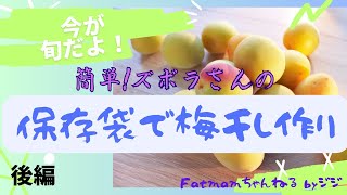 今が旬だよ！簡単！ズボラさんの『保存袋で梅干し作り』〜後編〜