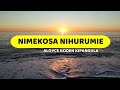 Nimekosa Nihurumie | Aloyce Goden | Lyrics video