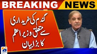 PM Shehbaz constitutes inquiry committee to investigate wheat import scandal