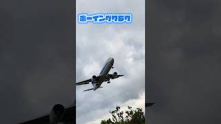 【松山空港】大接近！強風に煽られても安全着陸！ボーイング７６７#shorts