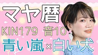 【神回】マヤ暦【KIN179】青い嵐 白い犬 音10 開運ポイント「絶対バズらない動画を作る理由」