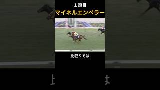 【 日経新春杯 2025 】 マイネルエンペラー３着！激アツ！穴馬2頭！#競馬 #日経新春杯 #shorts