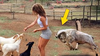 TOTAL IDIOTS AT WORK! Top Funny Compilation 2024 - Top Funny Fail Compilation #1