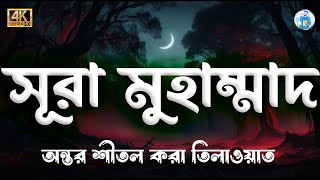 সূরা মুহাম্মদ || surah muhammad || (سورة محمد) এর অন্তর জুড়ানো তিলাওয়াত