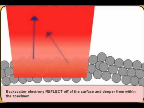 How a Scanning Electron Microscope Works.wmv How a Scanning Electron Microscope Works.wmv