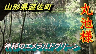 【酒田市観光】【丸池様】【湧水】なぜこんなに綺麗なエメラルドグリーンなのか　神秘的な池に心打たれる【山形県遊佐町】2022 03 23