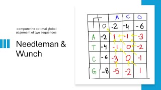 Needleman-Wunsch Algorithm: Global Sequence Alignment! (with Example)