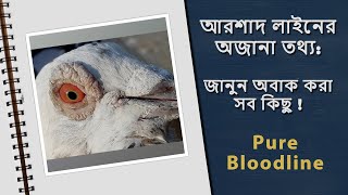 Uncover Hidden Facts About Arshad Line Pigeon: Must-Know Information! | Pure Bloodline #viralvideo