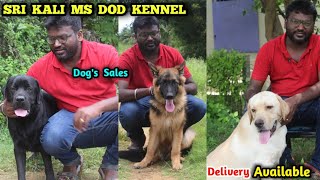 Dog kennel | Home breeds| german shepherd, labrador, beagle | dog for sale |