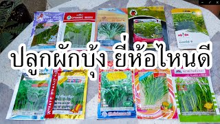 เมล็ดผักบุ้งจีน ยี่ห้อไหนดี