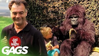 Hungry Gorilla Attack Prank