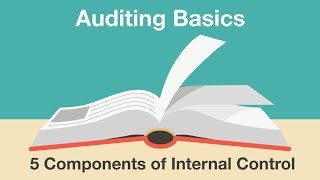 5 Components of Internal Control: Understanding the COSO Framework and C.R.I.M.E.