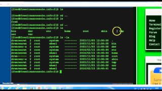 Operating Systems 1: Lab #3 - Linux Commands