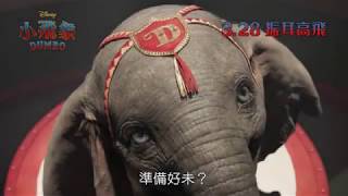 【小飛象】Dumbo - 迪士尼真人版小飛象 [HD中文香港版預告]