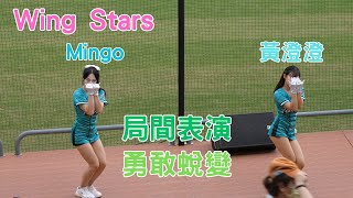 Mingo 黃澄澄 局間表演 勇敢蛻變 Wing Stars 台鋼雄鷹 中華職棒 中職