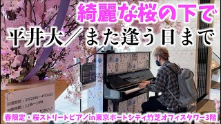 [ストリートピアノ]綺麗な桜の下で、平井大／また逢う日まで を弾いてみた。