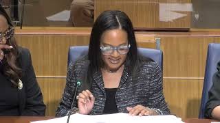 2025 Proposed Budget Hearings (Day 7) - JOINT with Criminal Justice and Budget Committee