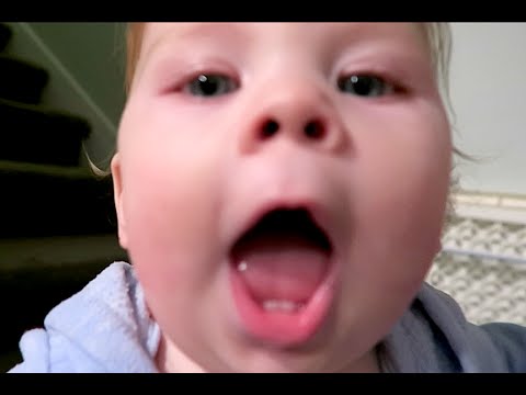 Baby Kisses Youtube
