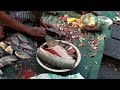 পদ্মা নদীর বড় চিতল মাছ কাটিং ভিডিও live chital fish cutting video bd fish market dhaka jatrabari