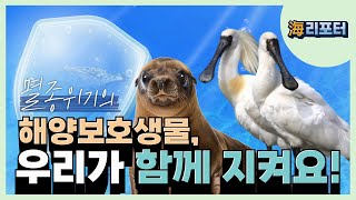 [해리포터 기자단] 해양생물다양성 보전대책이 무엇일까요?