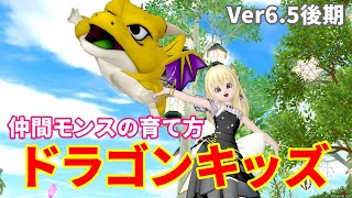 圧倒的で最強のドラゴンキッズの育て方【ドラクエ10オンライン】てぃあのちいさな冒険日記