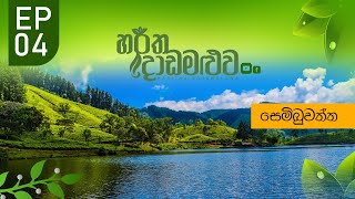 Sembuwaththa Lake | සෙම්බුවත්ත වැව/හරිත දොඩමළුව - Ep 04