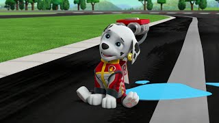 Marshall Helps The Whoosh - Paw Patrol Ready Race Rescue 2019