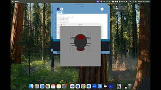 Creative Coding Week 2 Project Showcase