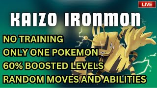 Early stream gets the runner? - Emerald Kaizo Ironmon