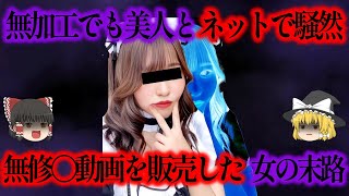 【ゆっくり解説】美女がネットで叡智動画を販売する。動画の販売には理由があった？