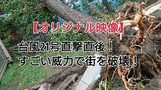 台風21号通過直後【オリジナル映像】ヤフーニュースに出た場所/大阪西部まとめ