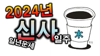 2024년 신사일주