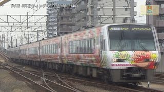 特急南風･うずしお2000系4両ｱﾝﾊﾟﾝﾏﾝ列車ｵﾚﾝｼﾞ+N2000系3両2424号連結Y09宇多津駅多度津方面CX480【RG627】