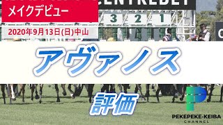 【メイクデビュー】ダイワメジャー産駒　アヴァノスの評価　POG2020-2021　クラシックホースを探せ【元騎手候補生ペケペケの競馬チャンネル】