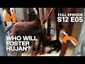 Could Lucky Be Hujan's New Foster Mum? | Season 12 Episode 5 | Full Episode | Monkey Life