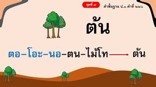 อ่านคำพื้นฐาน ชั้นป.1 ชุดที่ 7 คำที่ 212  - 258