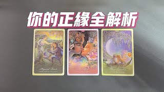 你的正緣全解析，身高/外貌/長相/穿衣風格/職業方向等全方位大揭秘！【無時限】  |曖昧|愛情|感情|桃花|塔羅占卜|