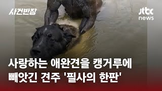"내 강아지 돌려줘!"…근육질 캥거루와 '한판' 붙은 견주 #글로벌픽 / JTBC 사건반장