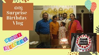Birthday Special Surprise Vlog | Praju & Snea Vlogs | Malayalam