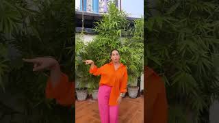 Sunanda Sharma 9-9 MASHUKAN New Video Jaani Sunanda Sharma New Song 9-9 MASHUKAN SHADA G