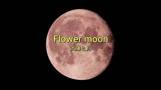 Flower moon 〜太陽と月〜