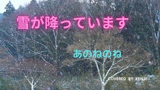 雪が降っています