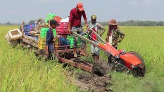 KUBOTA ZT155 Plus+ Stuck in Mud- ម៉ាស៊ីនគោយន្ត KUBOTA ZT155 Plus+​ ជាប់ផុងខ្លាំង