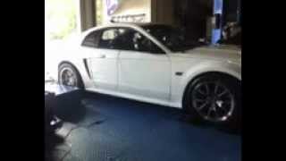 Jose Rosario Mustang GT kennebell 2.1, Dyno Test HP