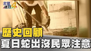 歷史 回顧|夏日蛇類出沒 龜山消防捕蛇大作戰