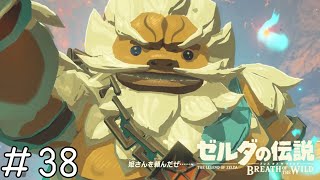 発売して7年経った名作ゼルダを今になってようやく実況していく[ゼルダの伝説 ブレス オブ ザ ワイルド]#38