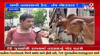 Herdsmen panic after 20 cattle allegedly died of Lumpy virus in Rajkot |Gujarat |TV9GujaratiNews