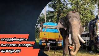 Pampadi rajan 🥰 / kunnummel parashuraman / valiyapurakkal sooryan/ karimannoor unni