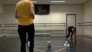 Focus iDance - Peuterdans/Dreumesdans - Beginners Les 3